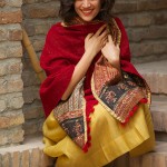 velvet kantha shawls (velvet & block printed cotton)